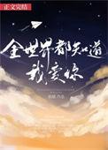 全世界都知道我爱你是那首歌的歌词