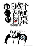 扒一扒我那丧病的同桌困成熊猫