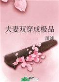 双穿夫妻剧情发展