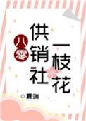 八零年代供销社