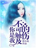 你是我不可触摸的梦是哪首歌