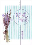 时光已情深第二部