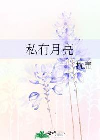 私有月亮简介