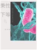 秉性下等简介
