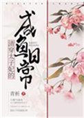 清穿太子妃讲的什么