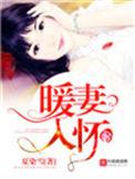 暖妻入怀时渊免费