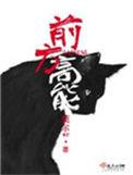 前方高能预警by一灯萤火百度txt