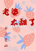 老婆好甜笔趣阁