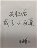 失忆后她成了白月光免费全集