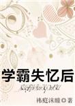 学霸失忆后全文番外