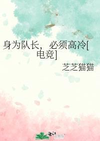 队长的意义