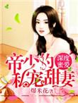 深度蜜宠偏挚帝少霸宠