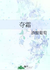 夺霜TXT资源