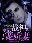 名门暖婚之战神宠娇妻