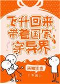 飞升归来简介