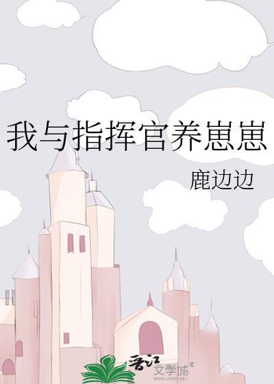 指挥官1v1宠文