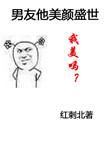 男友他美颜盛世讲什么