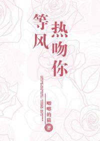 等风热吻你全文无删减版晋江