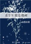 重生军嫂文