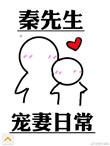 秦先生宠妻日常全文无防盗
