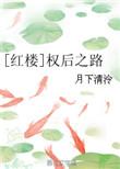 综红楼权臣之妻
