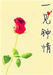 一见钟情最新章节