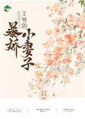 王爷的小老婆