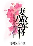 妻乃敌军之将by宫槐如玉