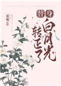 替身文白月光回归后最新章节更新时间