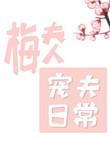 梅夫人宠夫日常免费