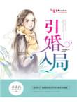 引婚入局免费读