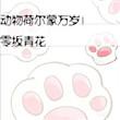 荷尔蒙运动