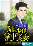 99亿宠婚陆少吻上瘾免费阅读