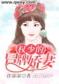 权少的神秘娇妻