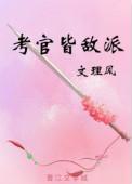 考官皆敌派 作者 文理风