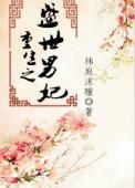 重生之盛世男妻全文免费阅读无弹窗