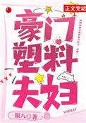 豪门塑料夫妇银八全文阅读