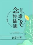 念你插翅难飞番外txt
