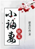 娇宠小福妻全文免费阅读