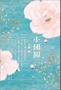 小团圆媳妇的故事