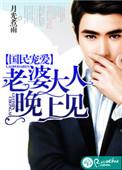 国民宠婚晚安老婆大人免费阅读