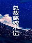 总裁离婚gl