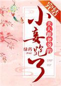 夫人跟着老爷小妾