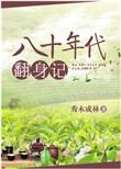 八十年代翻身记类似