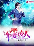 重生之军妻凌人紫若非
