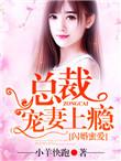 闪婚蜜爱总裁独宠小娇妻