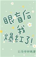眼盲后我爆红了白