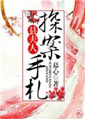 县夫人探案手札慕心txt