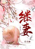 继妻是正妻吗