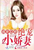 盛世婚宠瘾婚娇妻乖乖入怀